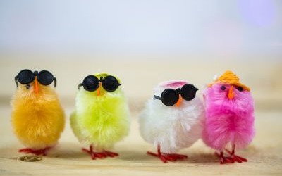 Cool Chicks Comedy Hour